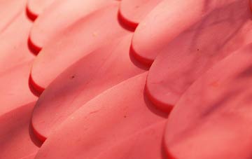 Dickleburgh plastic roof costs